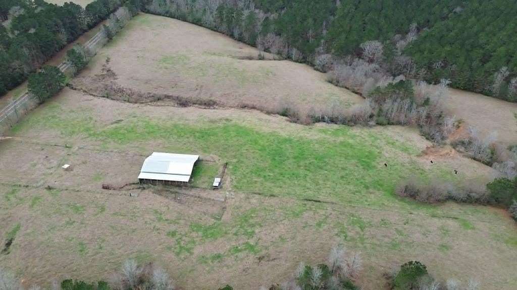 20 Acres of Land for Sale in Joaquin, Texas