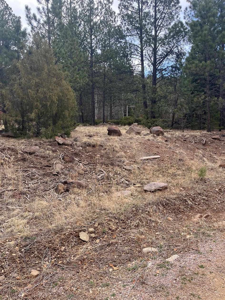 1 Acre of Residential Land for Sale in Black Lake, New Mexico
