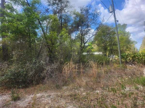 0.1 Acres of Residential Land for Sale in Orange Springs, Florida