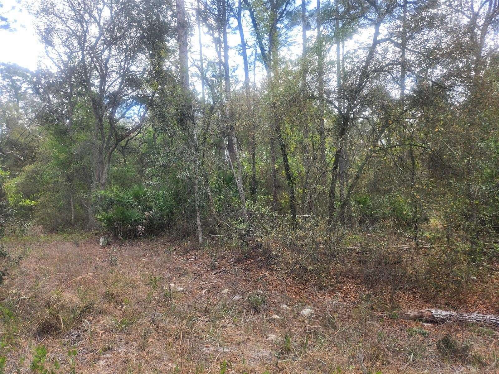 1.25 Acres of Residential Land for Sale in Dunnellon, Florida