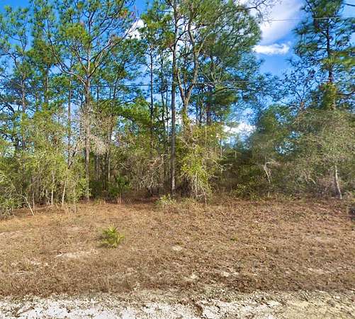 0.46 Acres of Residential Land for Sale in Weeki Wachee, Florida