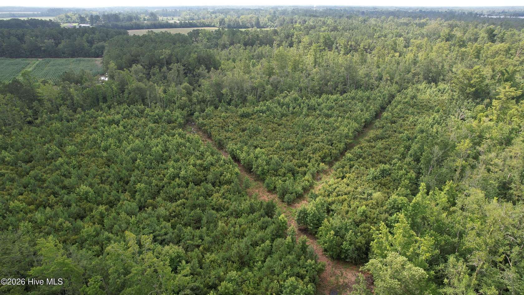 8 Acres of Residential Land for Sale in Columbia, North Carolina