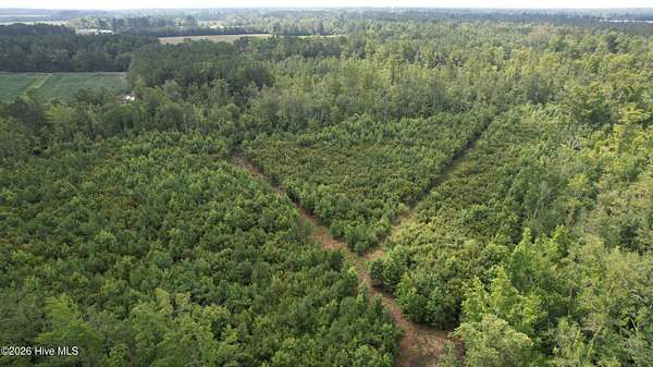 8 Acres of Residential Land for Sale in Columbia, North Carolina