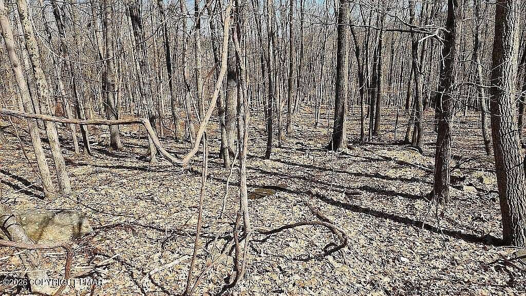 0.52 Acres of Residential Land for Sale in Swiftwater, Pennsylvania