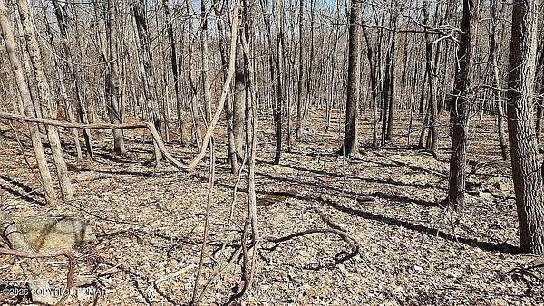 0.52 Acres of Residential Land for Sale in Swiftwater, Pennsylvania