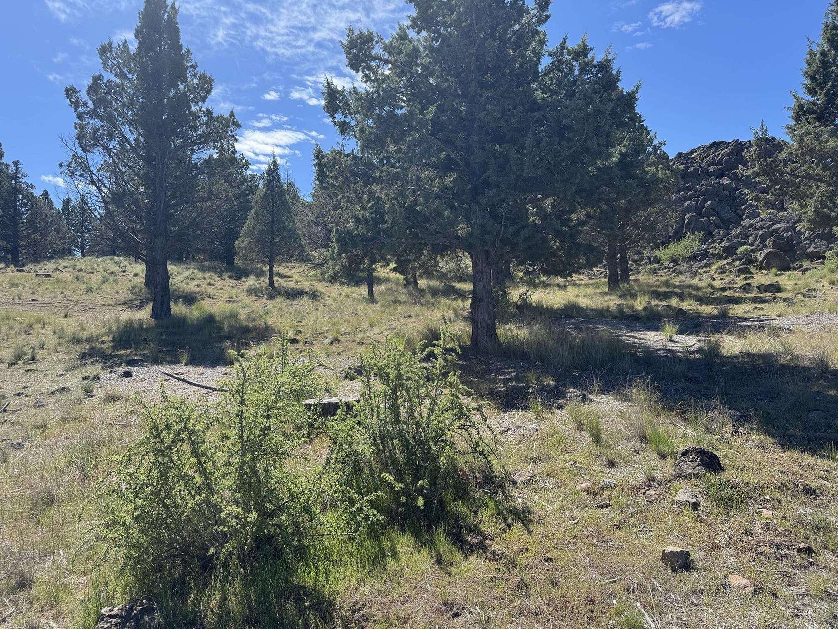 0.36 Acres of Residential Land for Sale in Weed, California