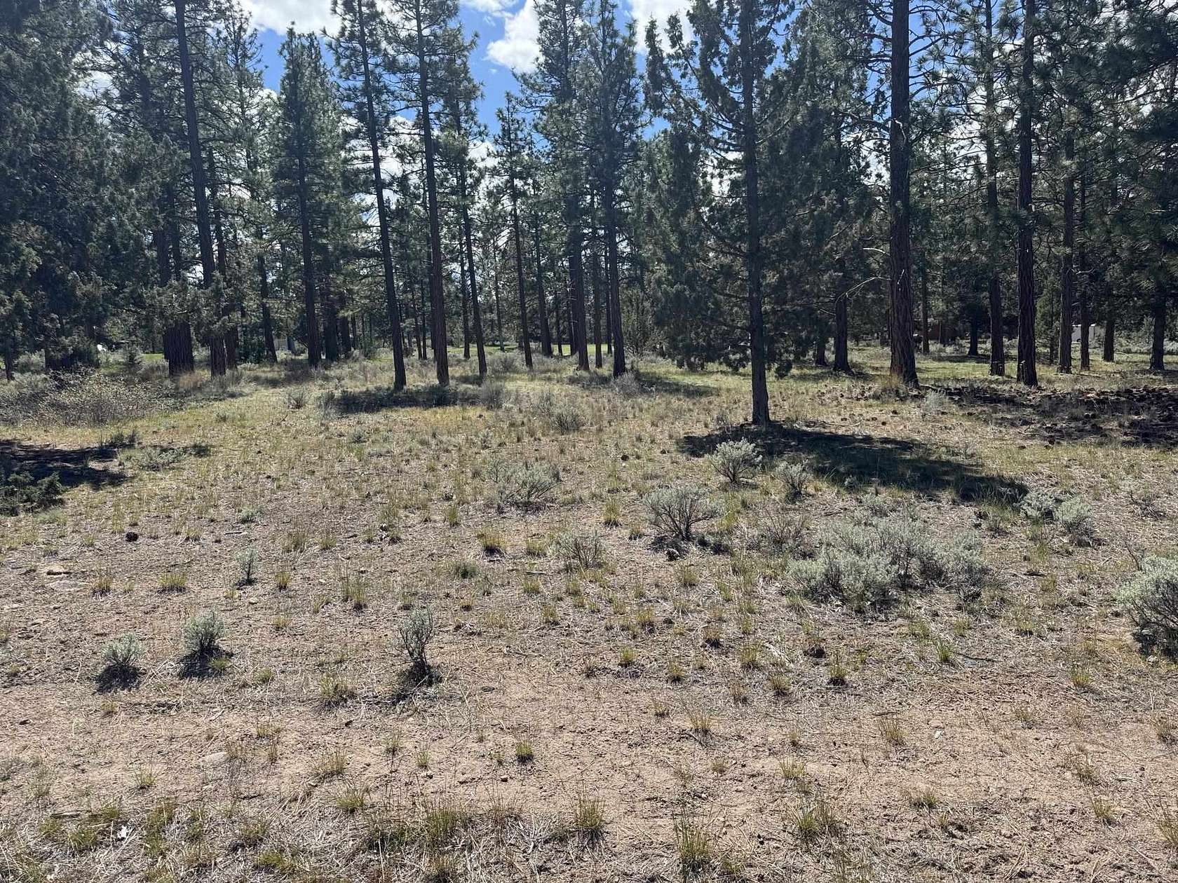 0.27 Acres of Residential Land for Sale in Weed, California