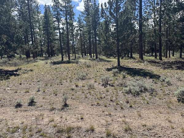 0.27 Acres of Residential Land for Sale in Weed, California