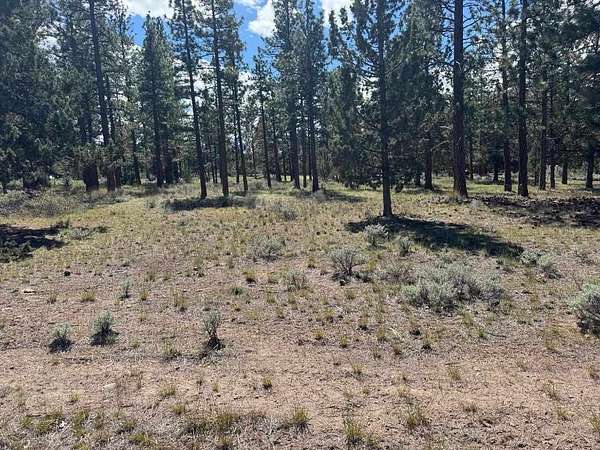 0.27 Acres of Residential Land for Sale in Weed, California