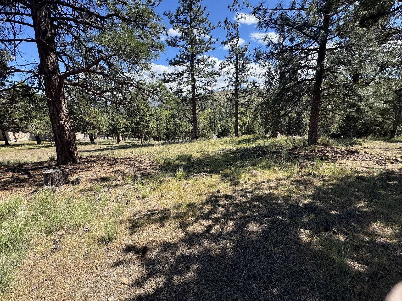 0.23 Acres of Residential Land for Sale in Weed, California