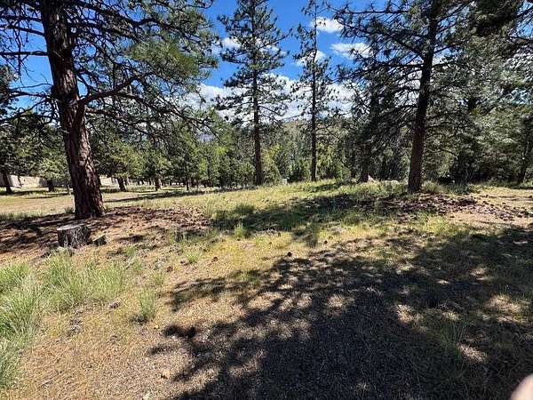 0.23 Acres of Land for Sale in Weed, California