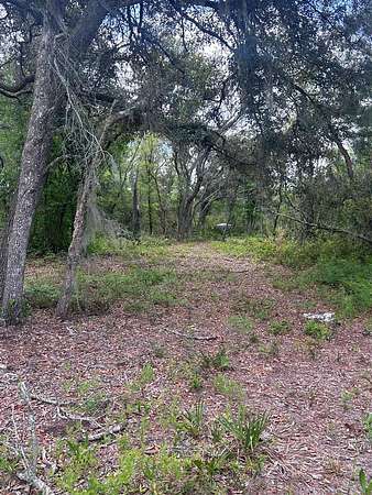 34.5 Acres of Recreational Land for Sale in Perry, Florida