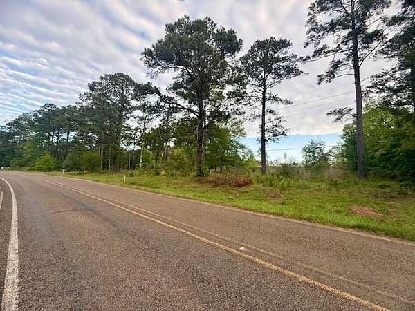20 Acres of Land for Sale in Hemphill, Texas