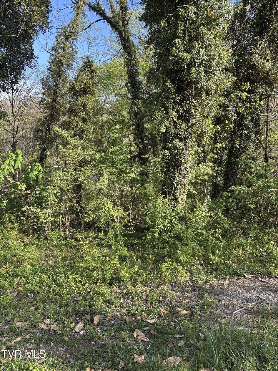 0.17 Acres of Land for Sale in Kingsport, Tennessee