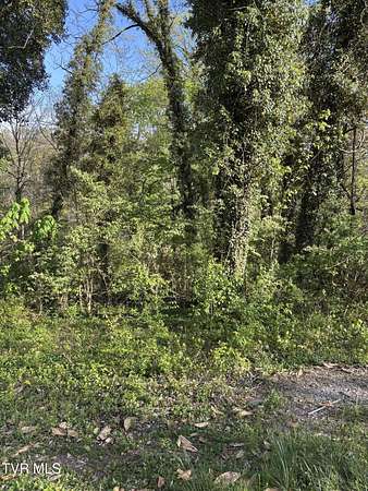 0.17 Acres of Land for Sale in Kingsport, Tennessee