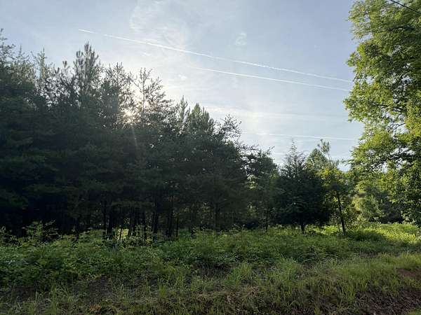 2.48 Acres of Residential Land for Sale in Sale Creek, Tennessee