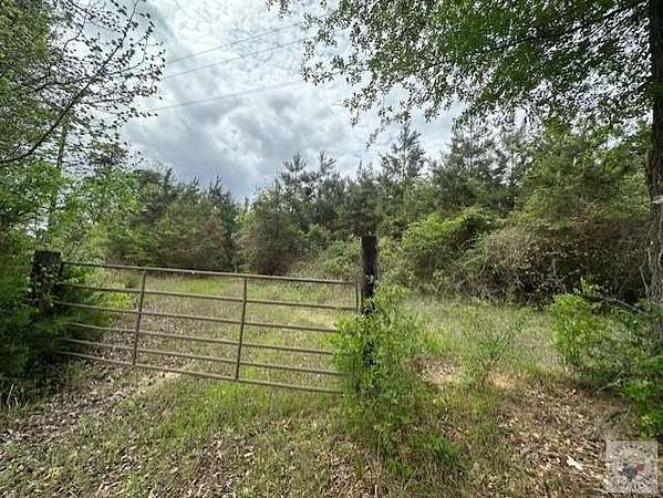 32 Acres of Recreational Land for Sale in Queen City, Texas