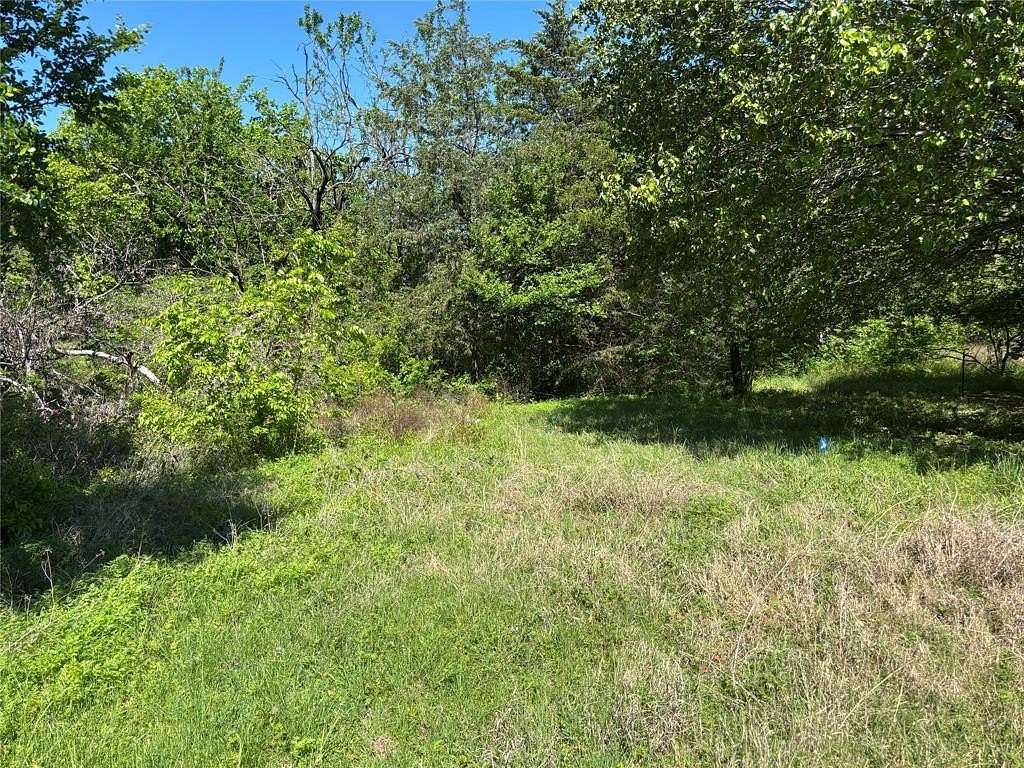 0.32 Acres of Residential Land for Sale in Blue Ridge, Texas