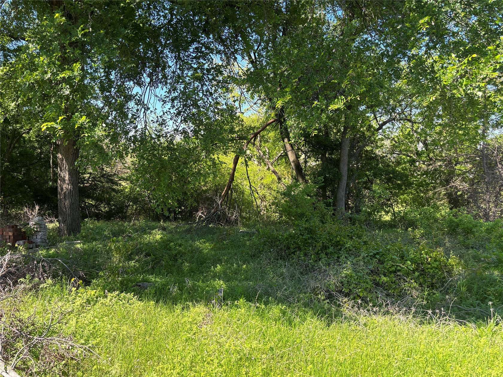 0.32 Acres of Residential Land for Sale in Blue Ridge, Texas