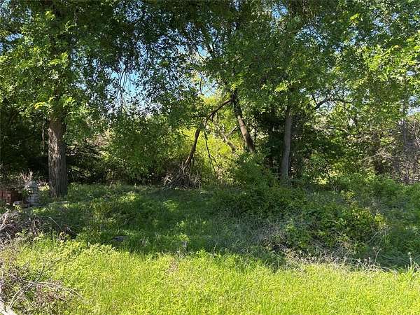 0.32 Acres of Residential Land for Sale in Blue Ridge, Texas