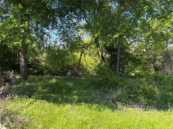 0.32 Acres of Residential Land for Sale in Blue Ridge, Texas