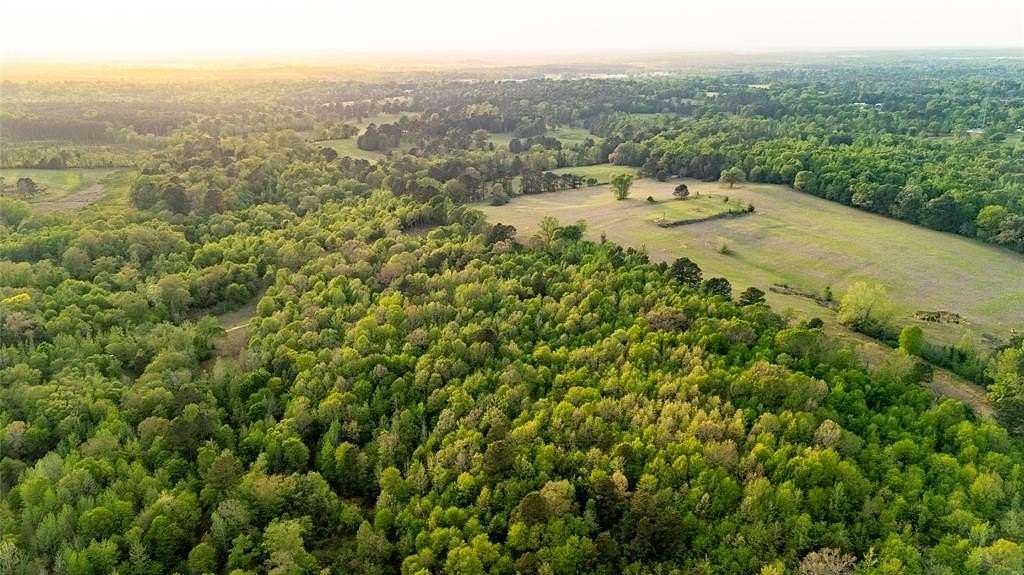 22.5 Acres of Recreational & Residential Land for Sale in Overton, Texas