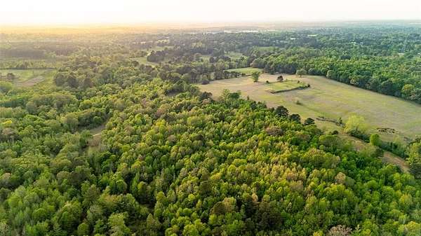 22.5 Acres of Recreational & Residential Land for Sale in Overton, Texas