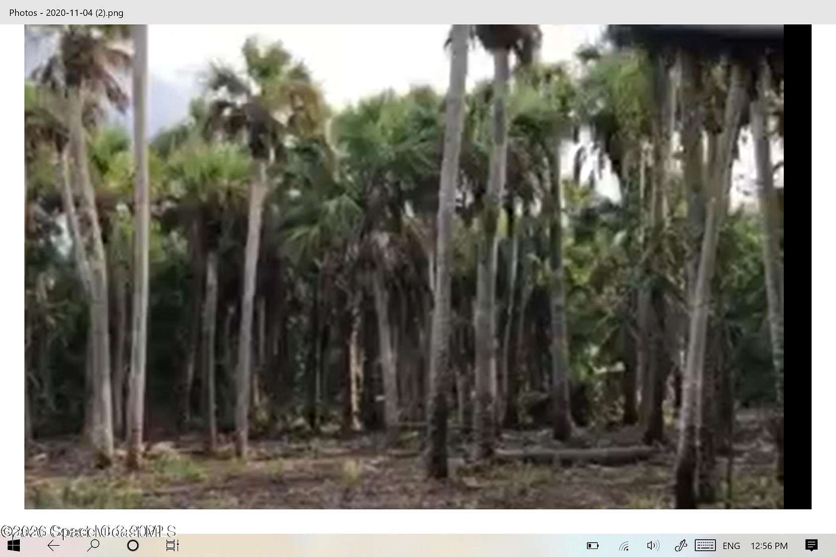 44.4 Acres of Land for Sale in Merritt Island, Florida