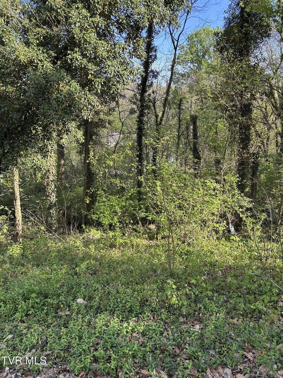 0.17 Acres of Land for Sale in Kingsport, Tennessee