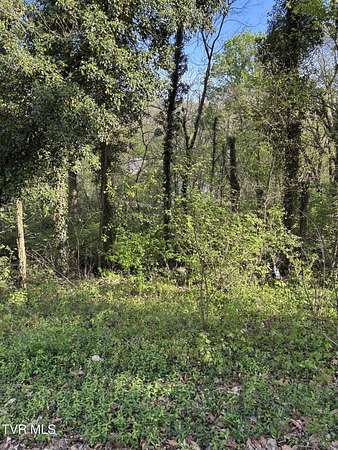 0.17 Acres of Land for Sale in Kingsport, Tennessee