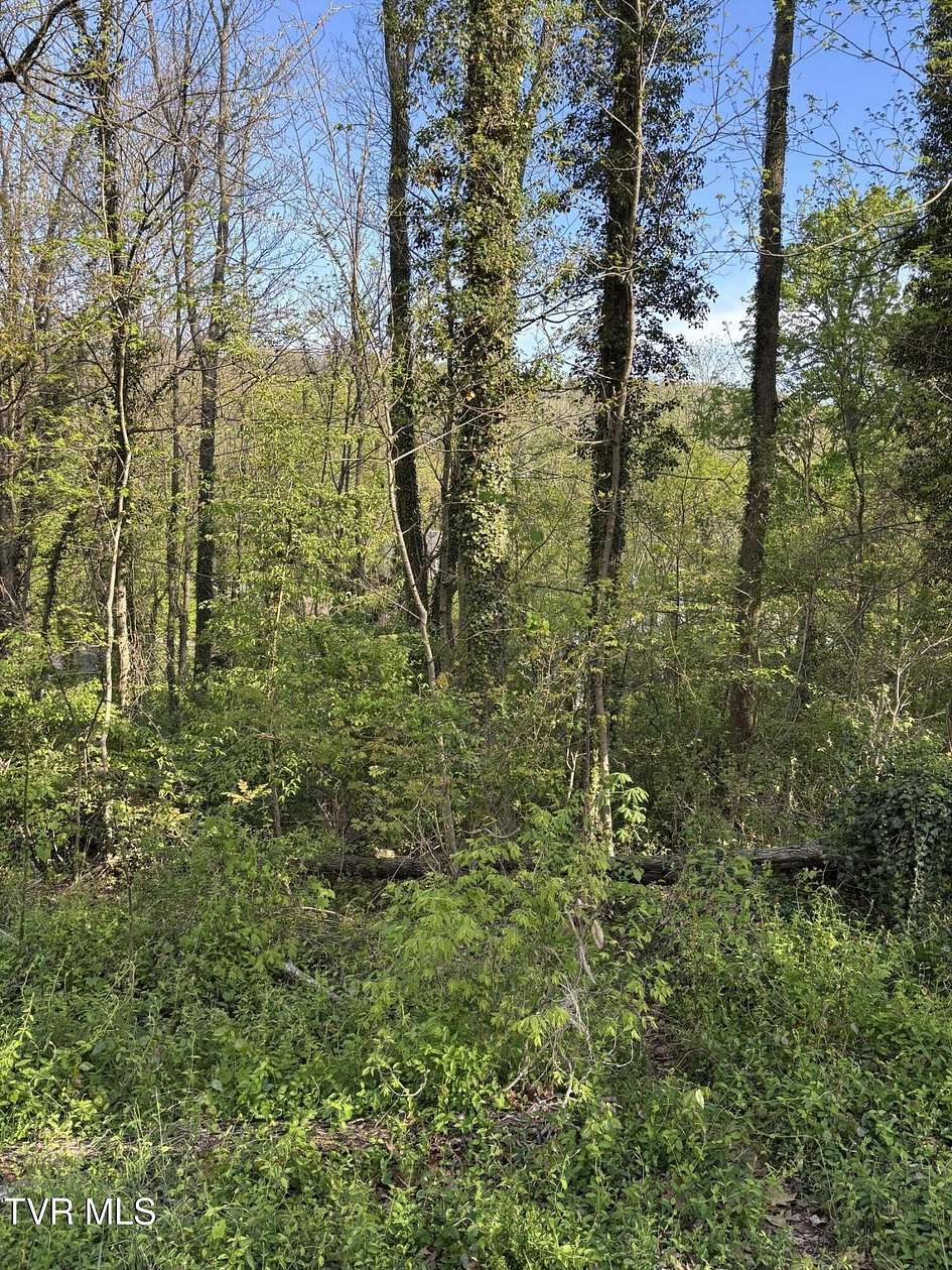 0.17 Acres of Land for Sale in Kingsport, Tennessee