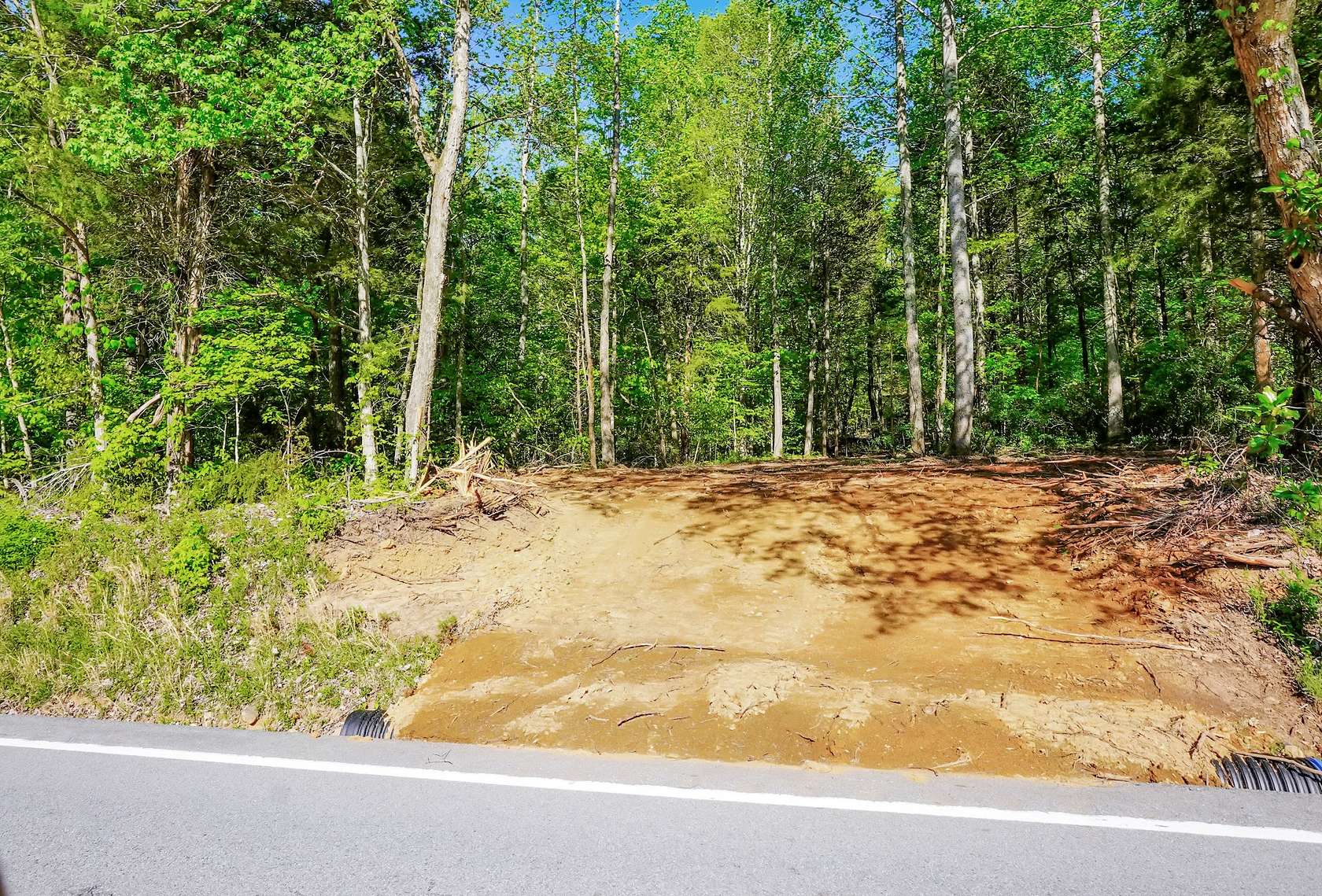 15 Acres of Recreational & Residential Land for Sale in Tennessee Ridge, Tennessee