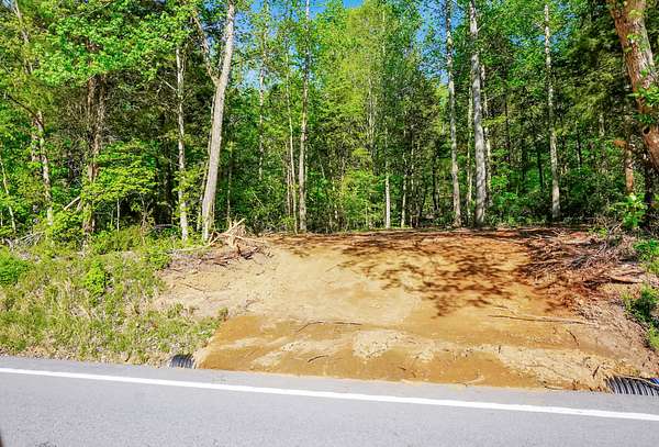 15 Acres of Recreational & Residential Land for Sale in Tennessee Ridge, Tennessee