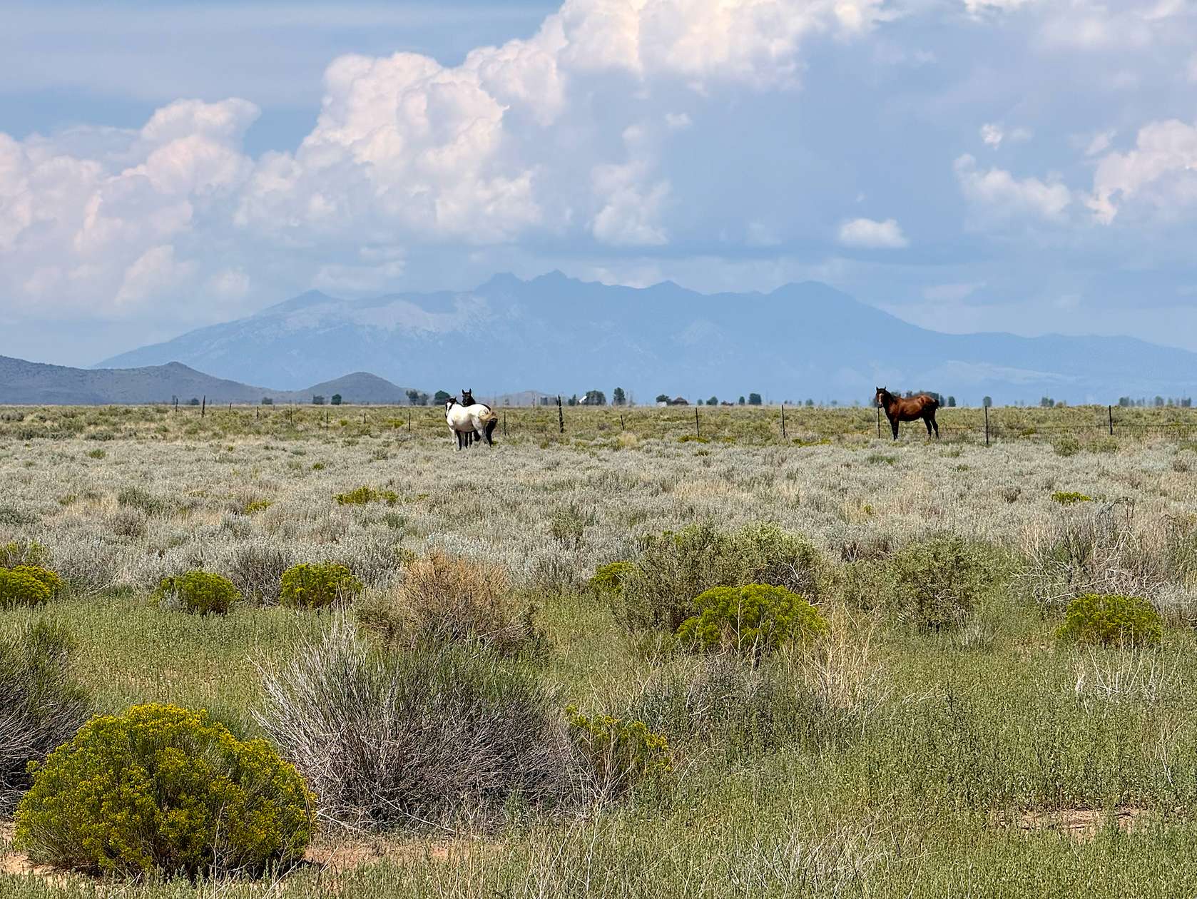 5 Acres of Land for Sale in San Luis, Colorado