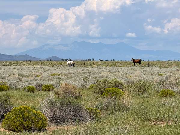 5 Acres of Land for Sale in San Luis, Colorado