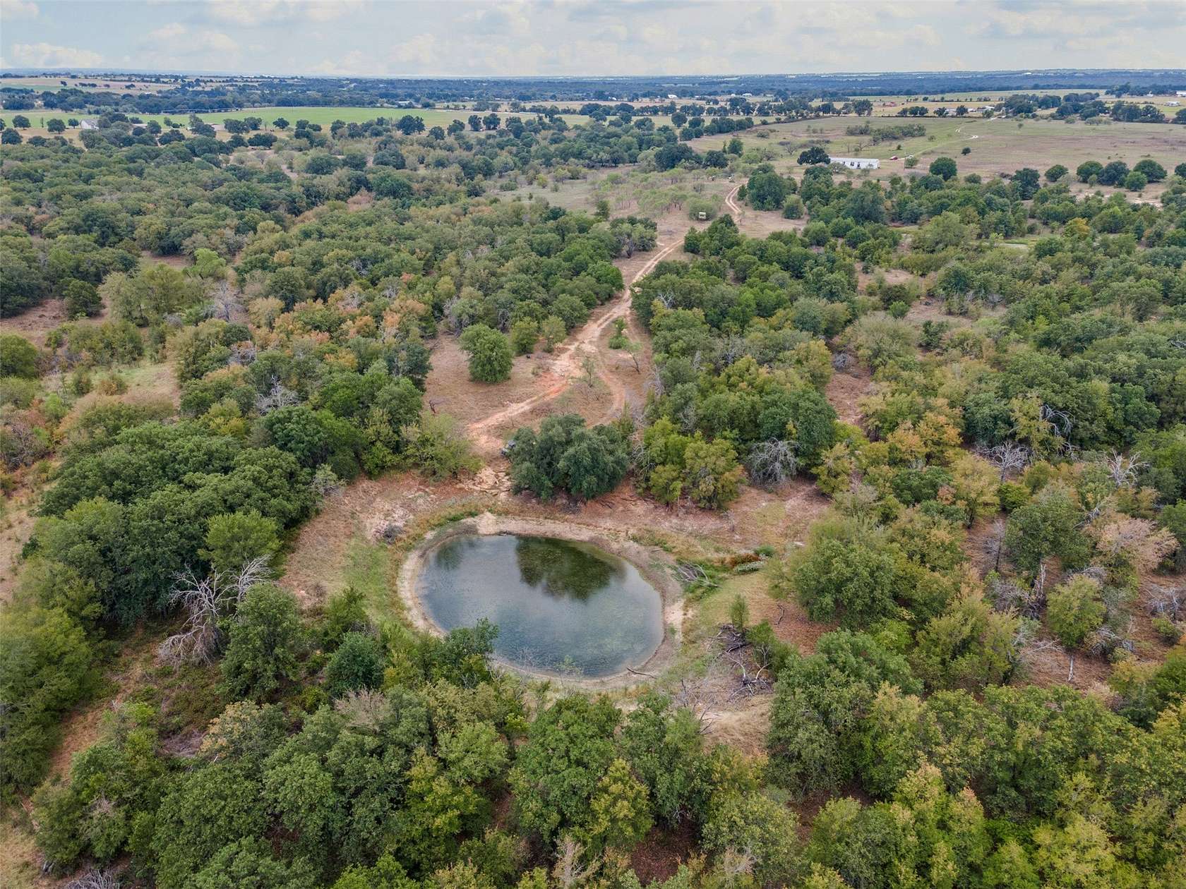 81.3 Acres of Land for Sale in Desdemona, Texas