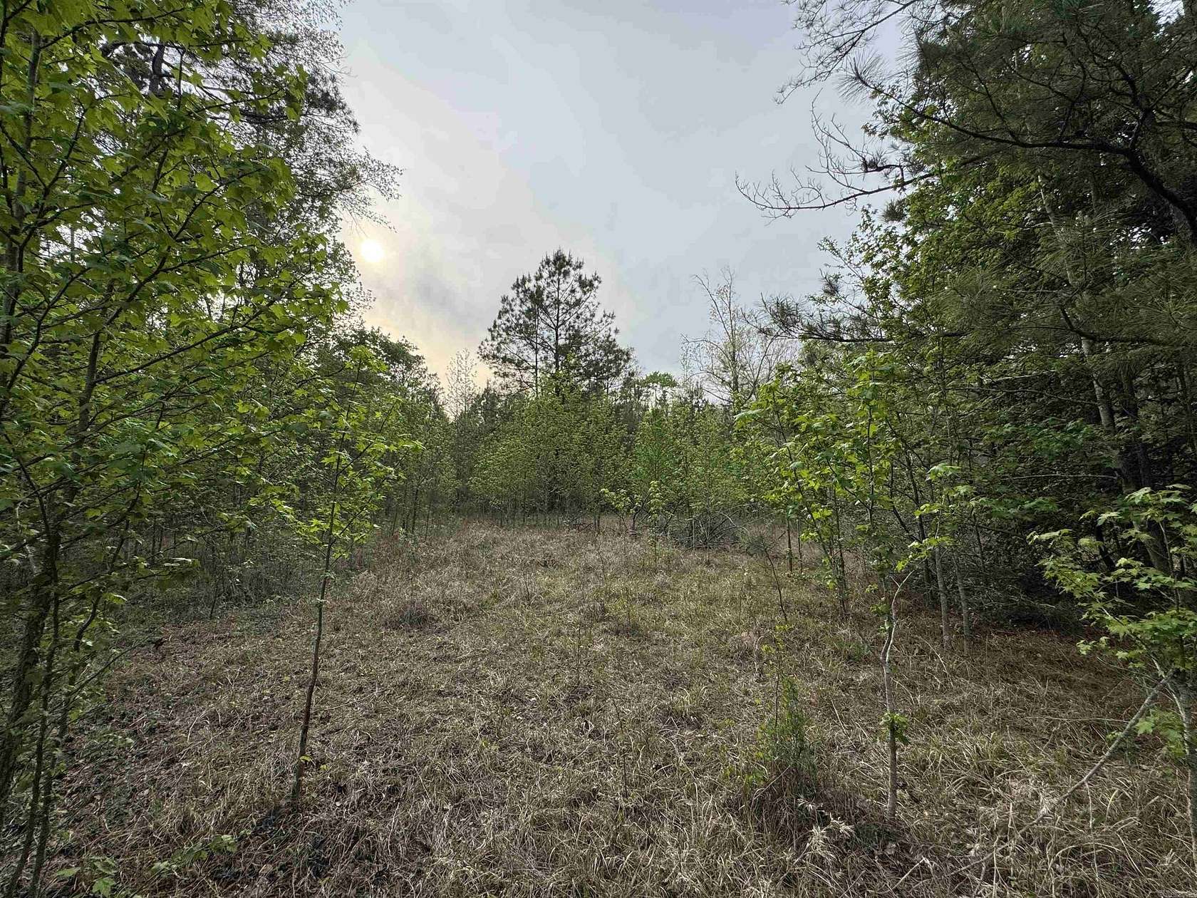 2 Acres of Residential Land for Sale in Camden, Arkansas