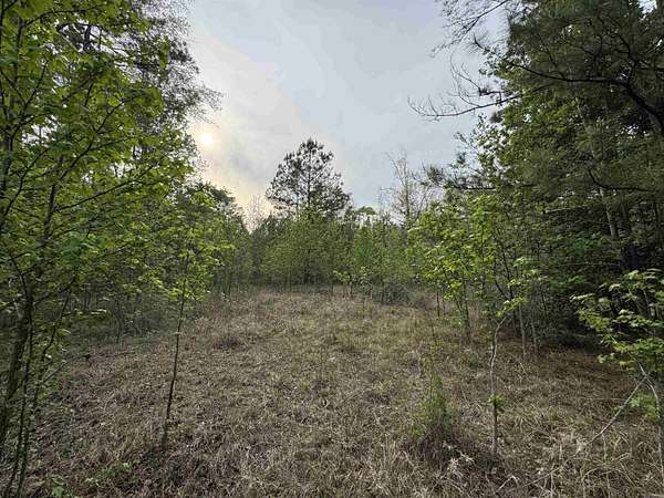 2 Acres of Residential Land for Sale in Camden, Arkansas