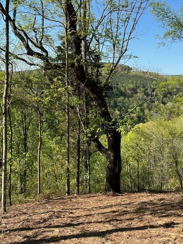 1.7 Acres of Residential Land for Sale in Haletown, Tennessee