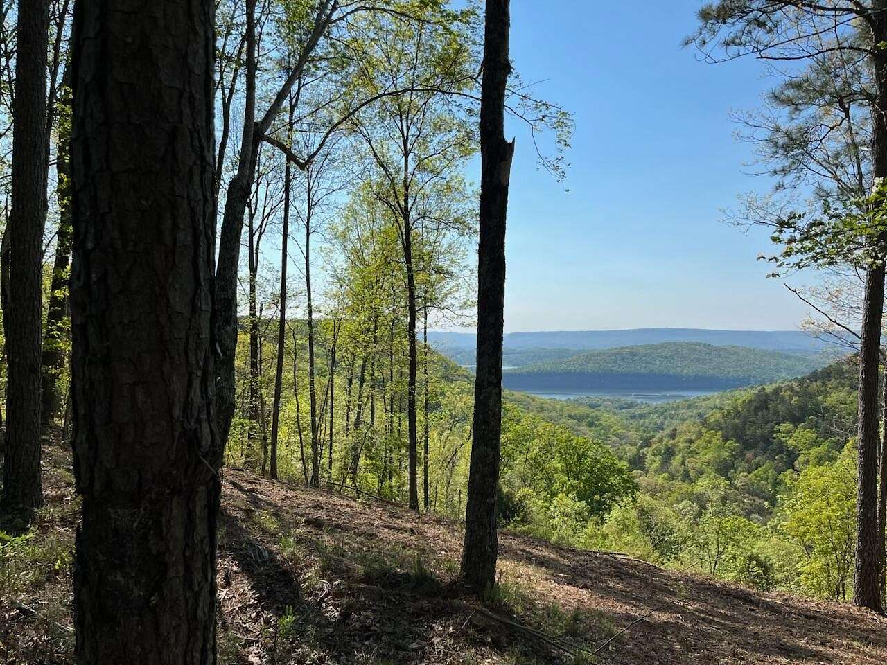 1.7 Acres of Residential Land for Sale in Haletown, Tennessee