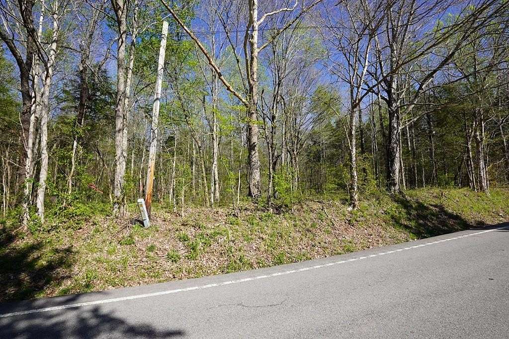 15 Acres of Recreational & Residential Land for Sale in Tennessee Ridge, Tennessee