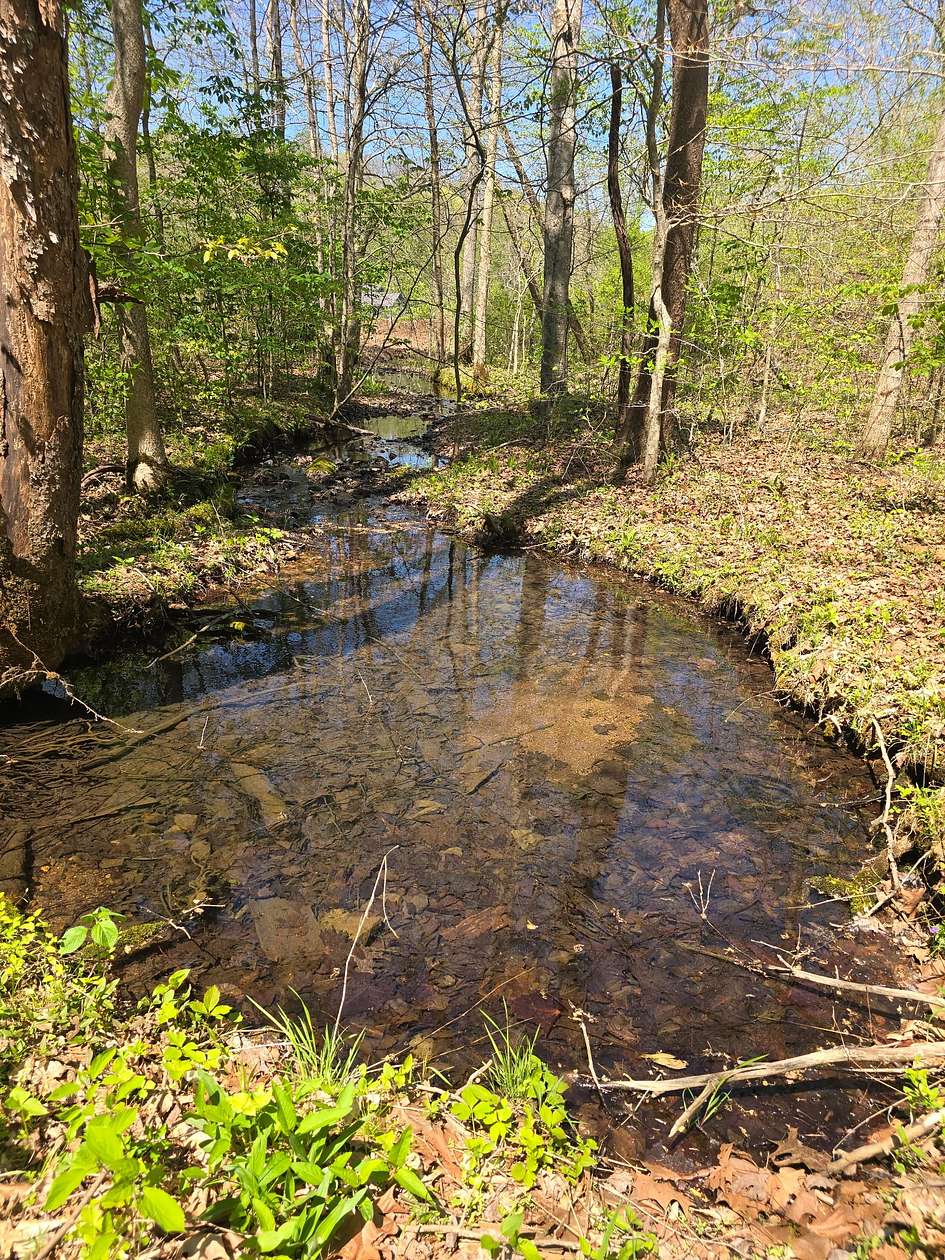 17.3 Acres of Recreational & Residential Land for Sale in Tennessee Ridge, Tennessee