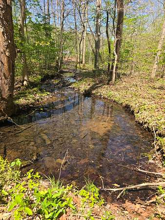 17.3 Acres of Recreational & Residential Land for Sale in Tennessee Ridge, Tennessee