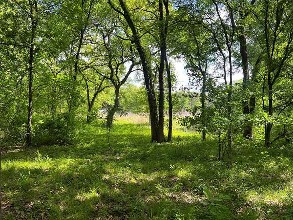 19.5 Acres of Land for Sale in Alvarado, Texas