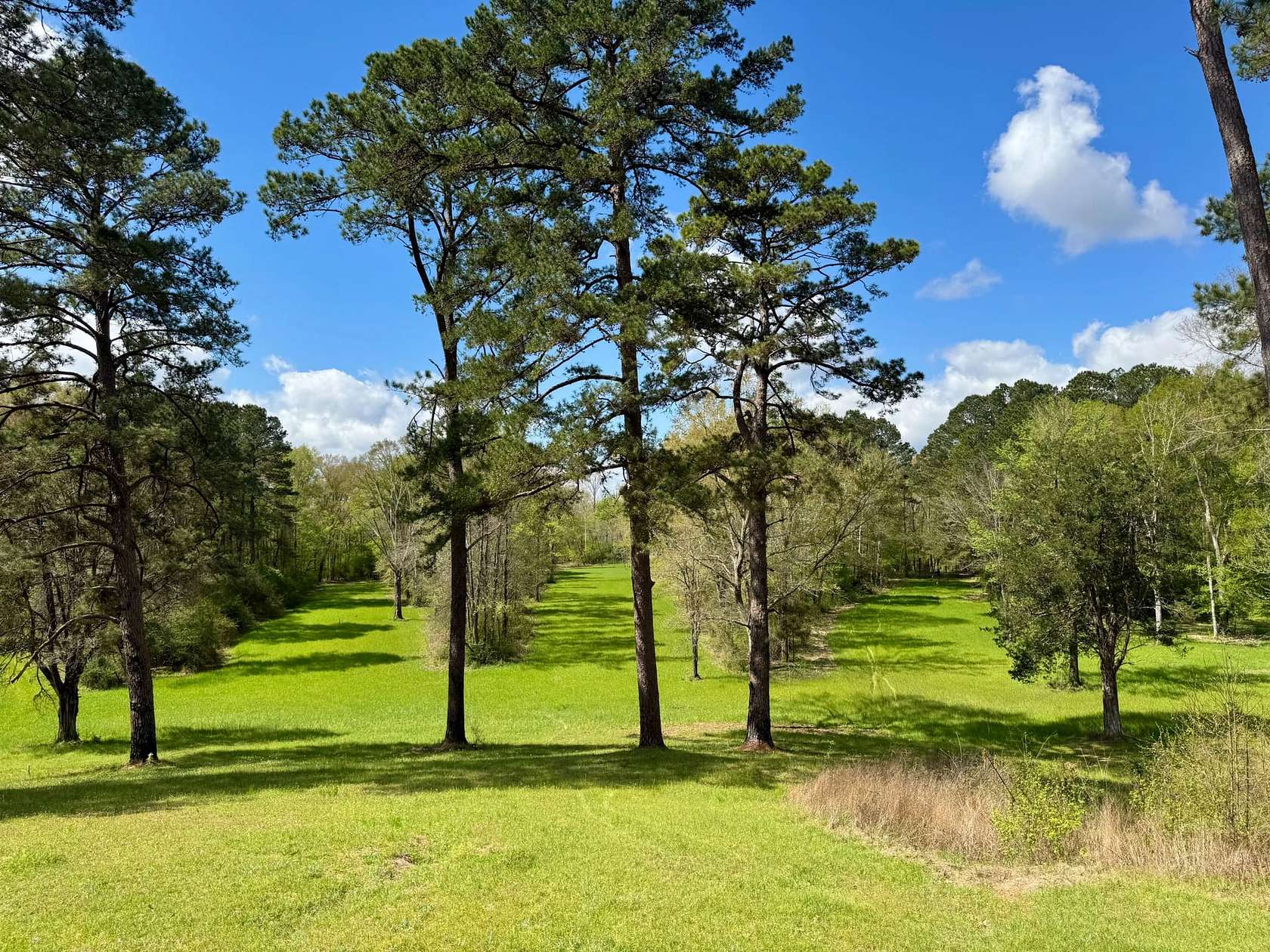 60 Acres of Recreational Land for Sale in Roxie, Mississippi