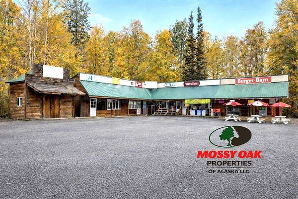 0.33 Acres of Commercial Land for Sale in Talkeetna, Alaska