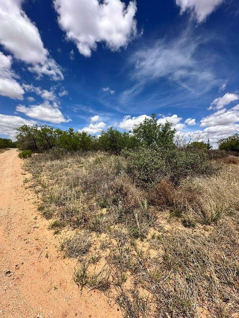 0.32 Acres of Residential Land for Sale in Colorado City, Texas