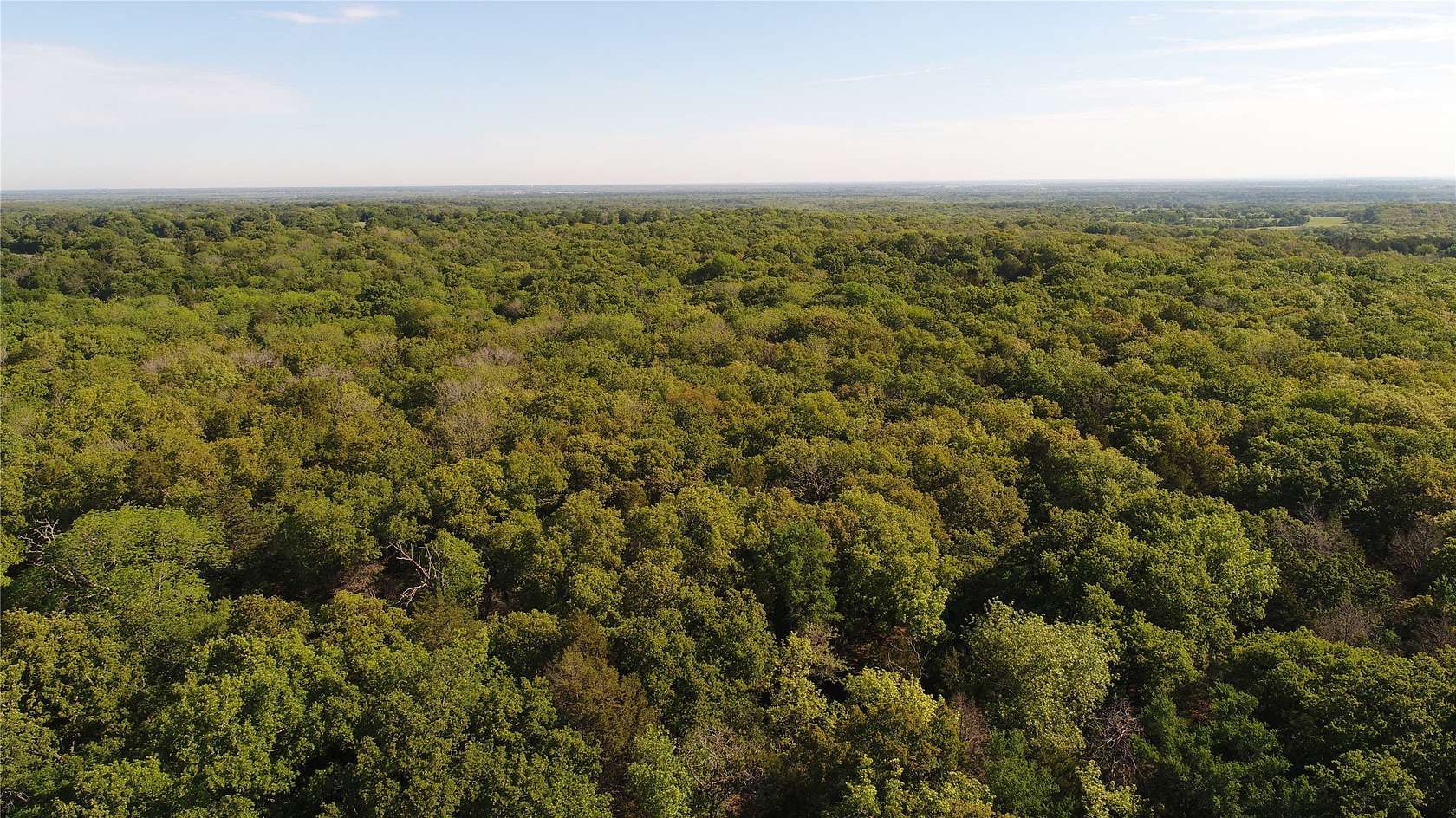 39.3 Acres of Recreational & Residential Land for Sale in Kerens, Texas
