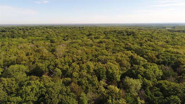 39.3 Acres of Recreational & Residential Land for Sale in Kerens, Texas
