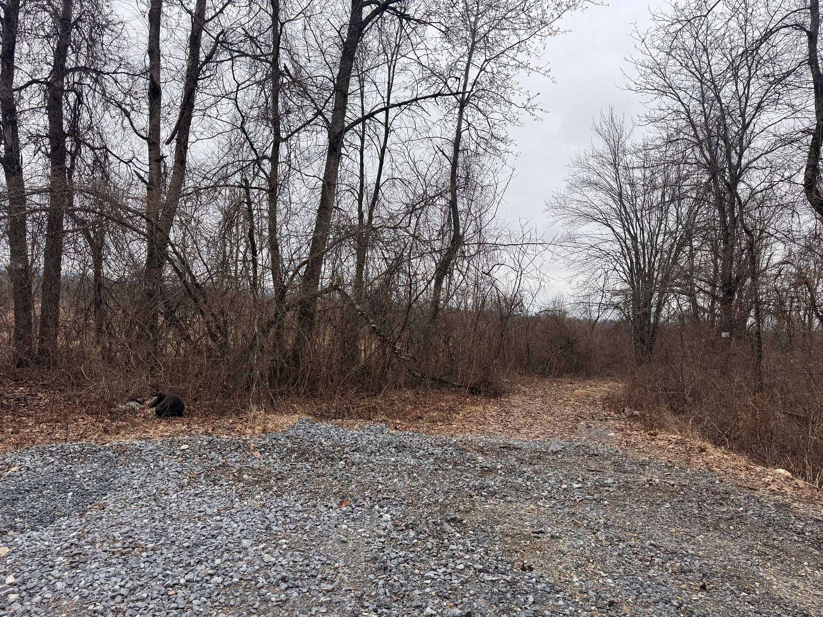 40 Acres of Land for Sale in Kingsbury, New York